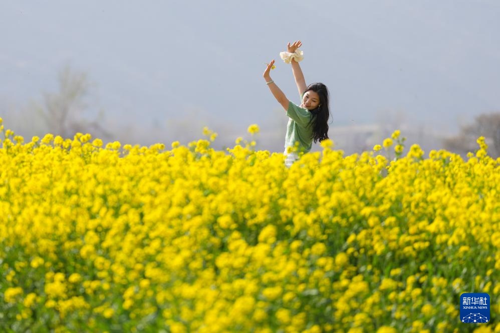 山西运城:花海春色 山西运城:花海春色