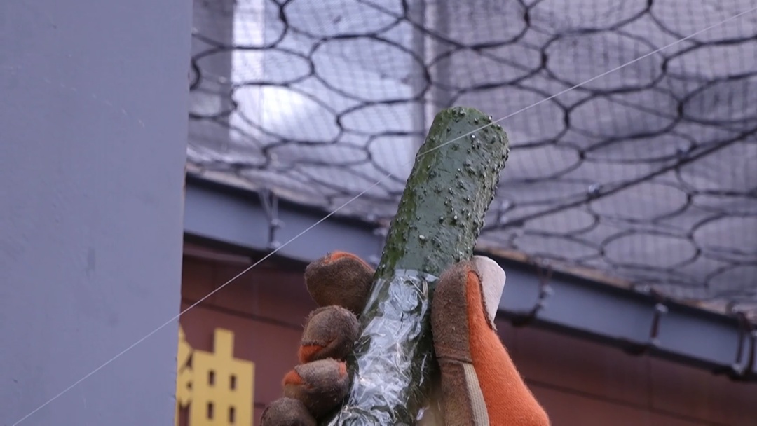 警惕!风筝线成“伤人线” 警惕!风筝线成“伤人线”