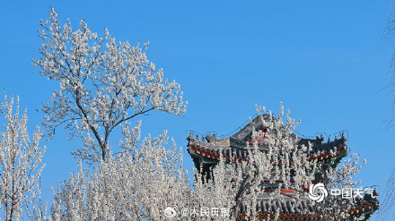 颐和园大写的春和景明