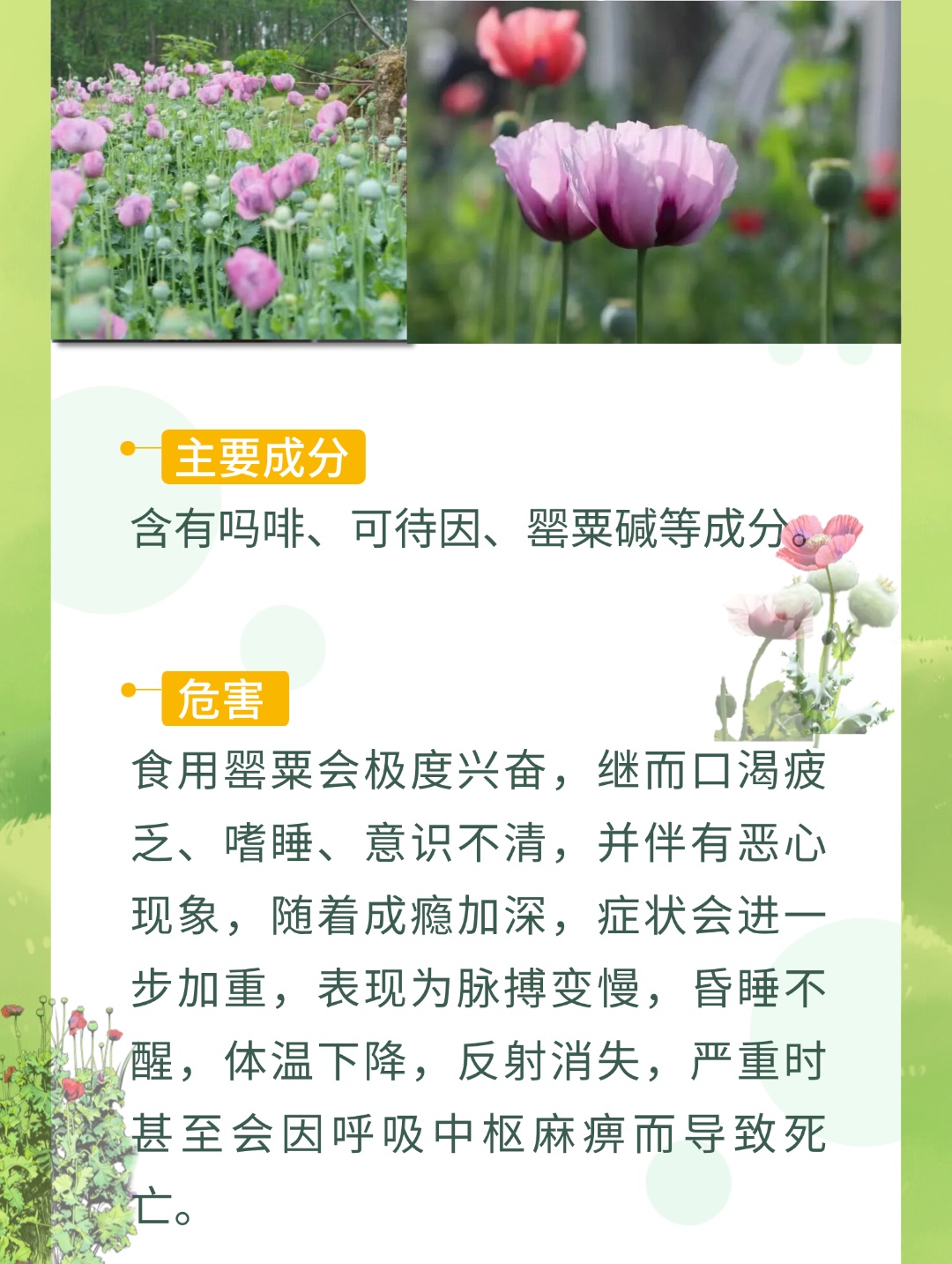 春分踏青,一起找到藏在草地上的“可疑物” 春分踏青,一起找到藏在草地上的“可疑物”