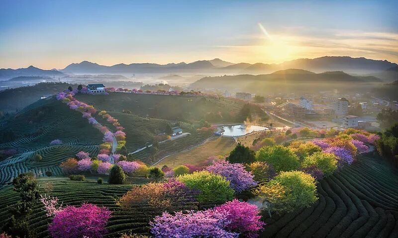 今日春分，讲个冷知识！