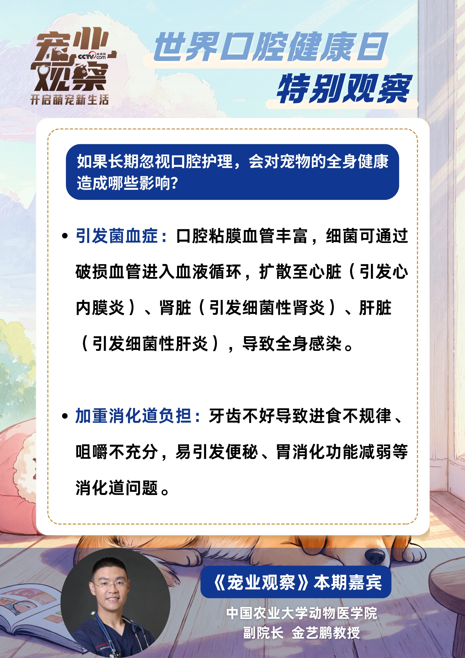 世界口腔健康日特别观察：如何科学守护毛孩子口腔健康？专家帮你划重点！