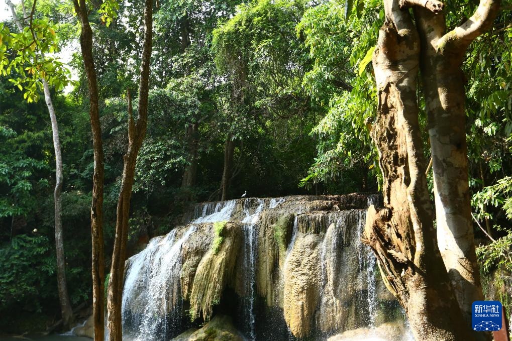 魅力亚太丨“国际森林日”——走进泰国爱侣湾国家公园