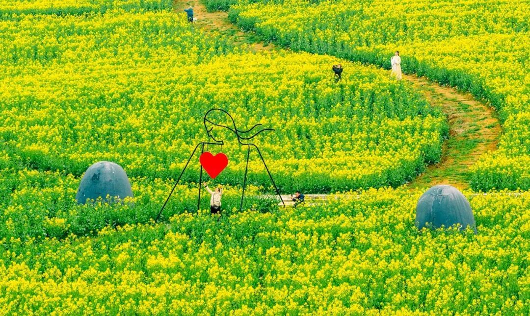 “龙抬头”与春分相遇！二者相遇概率极低，本世纪仅有三次，下一次要等到2045年！