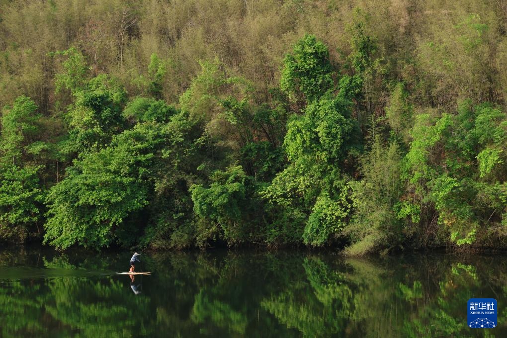 魅力亚太丨“国际森林日”——走进泰国爱侣湾国家公园