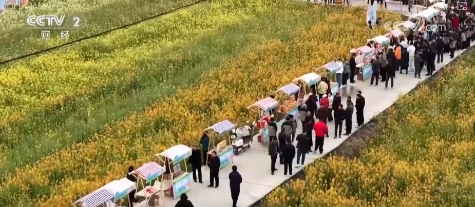 科技擦亮“花经济”金色名片 村民家门口吃上“美丽经济饭”