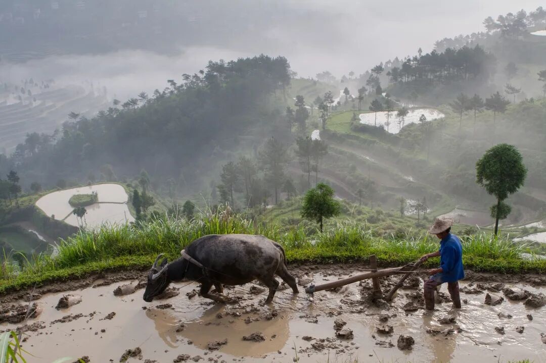 春分 | 春色从此分，春意从此浓