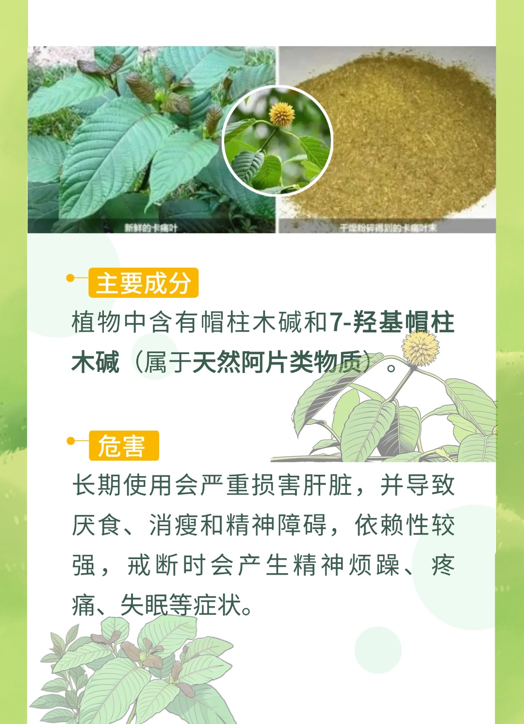 春分踏青,一起找到藏在草地上的“可疑物” 春分踏青,一起找到藏在草地上的“可疑物”