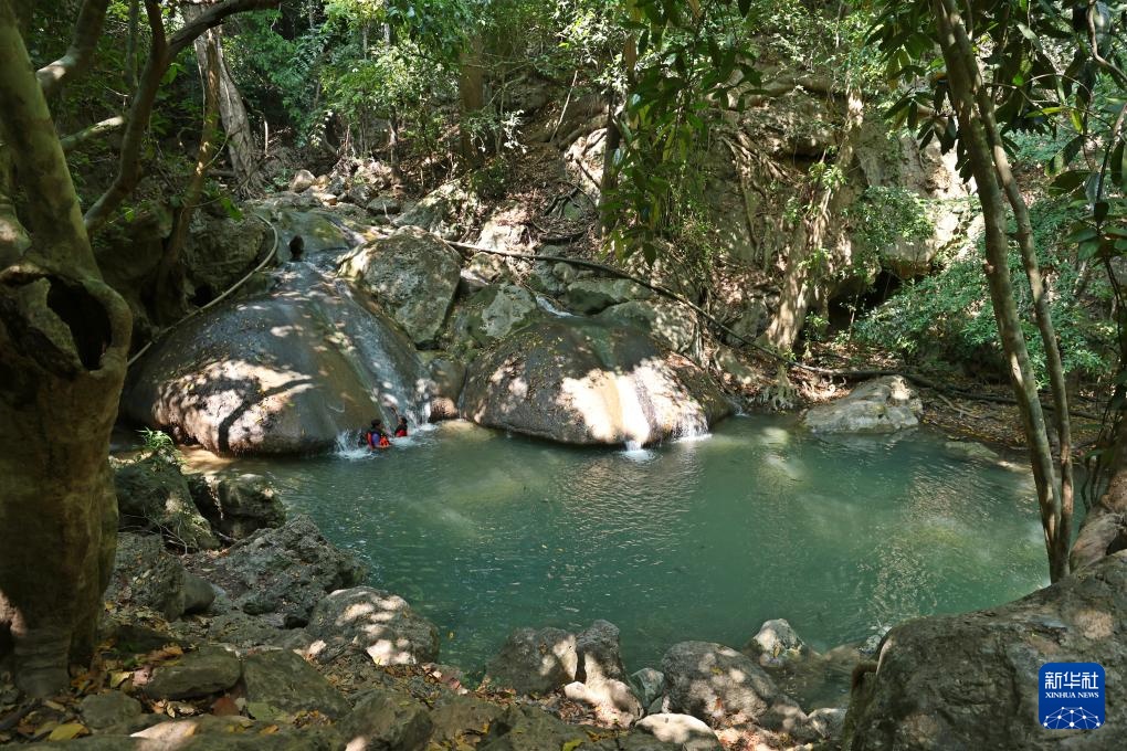 魅力亚太丨“国际森林日”——走进泰国爱侣湾国家公园