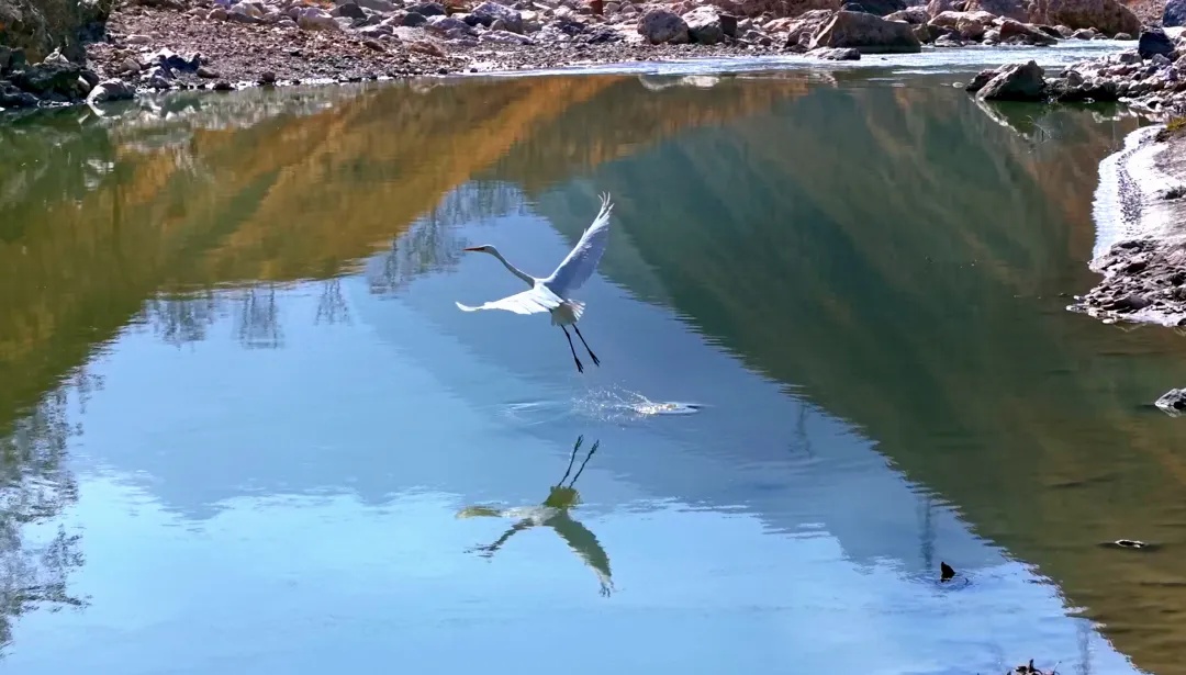 好兆头！就在今日22时46分，下次相逢要等19年