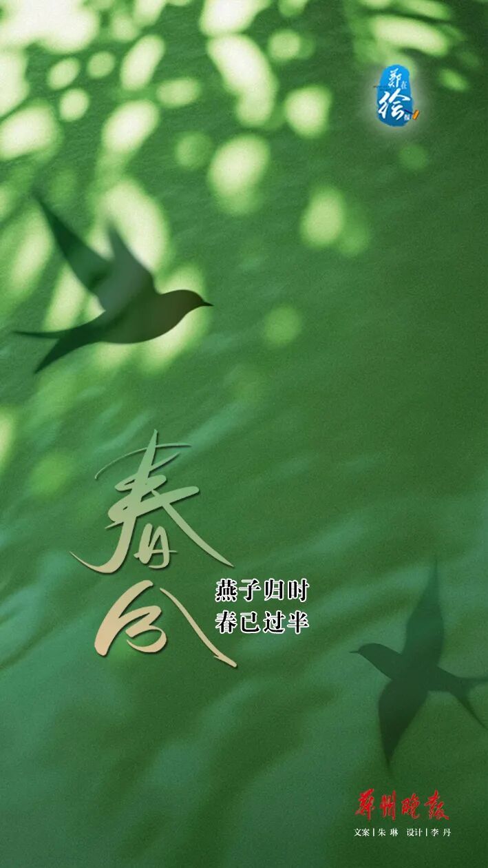 郑在绘报 | 春分：把日子过成刚刚好的样子