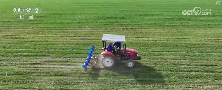 解读 | 保持土地承包关系稳定长久不变 给农户吃上“定心丸”