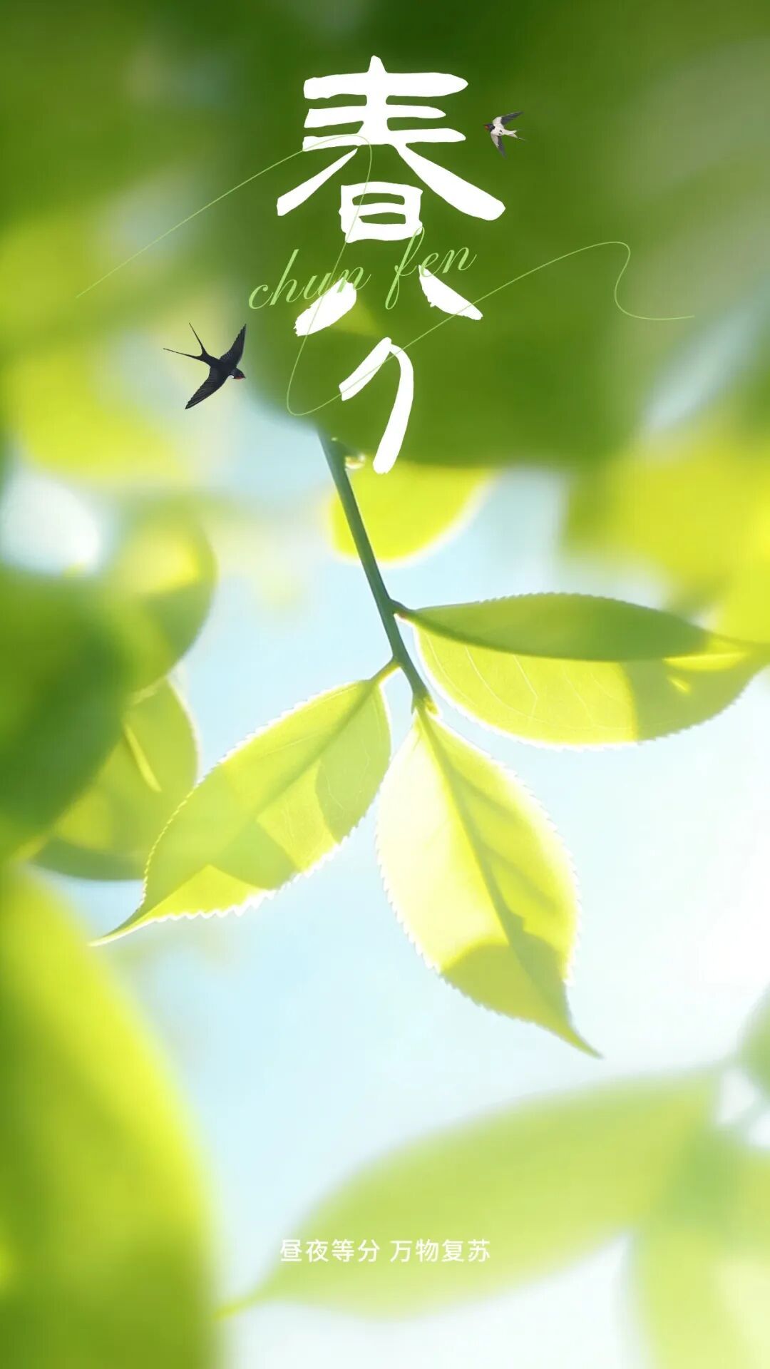 今日春分｜春分遇上“龙抬头”，做好这3件事，让身体更健康！