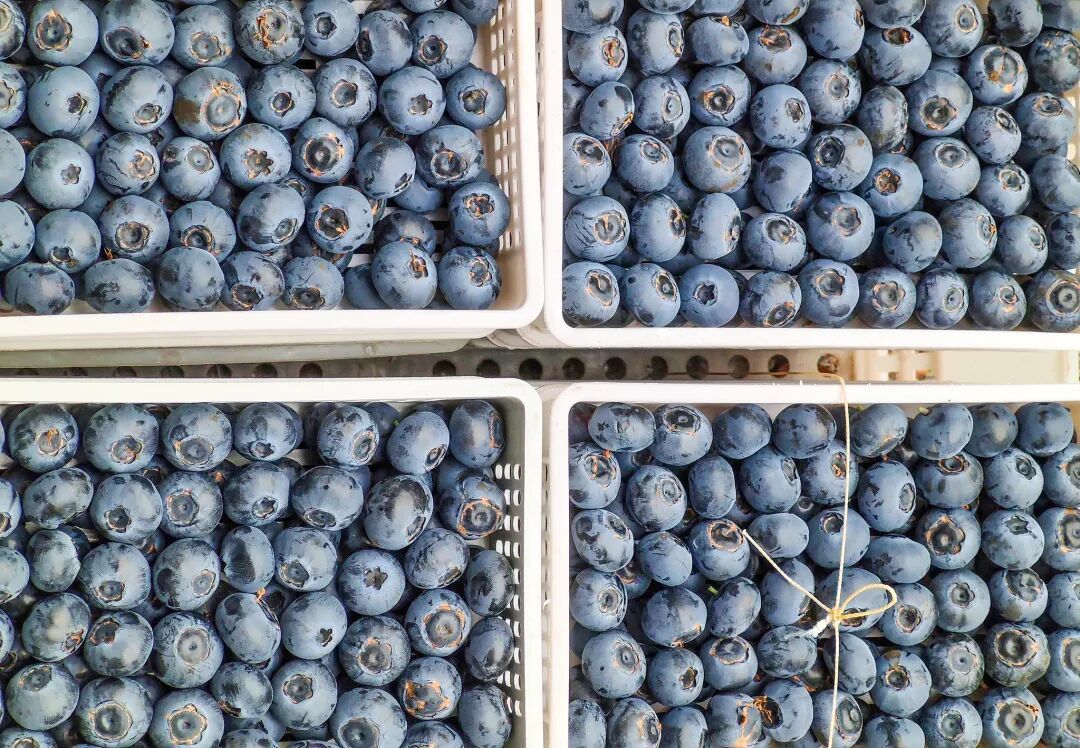 从“盒装”到“桶卖”！这种常吃水果降价超30%