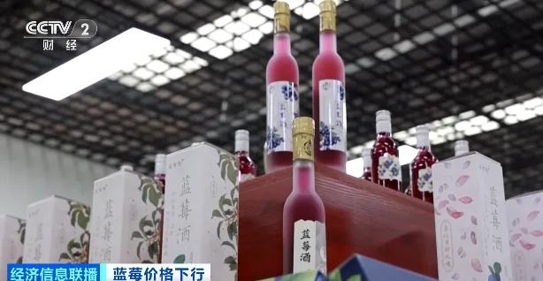 价格跳水！“蓝莓自由”要来了