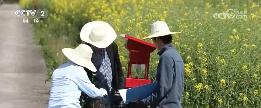 解读 | 保持土地承包关系稳定长久不变 给农户吃上“定心丸”