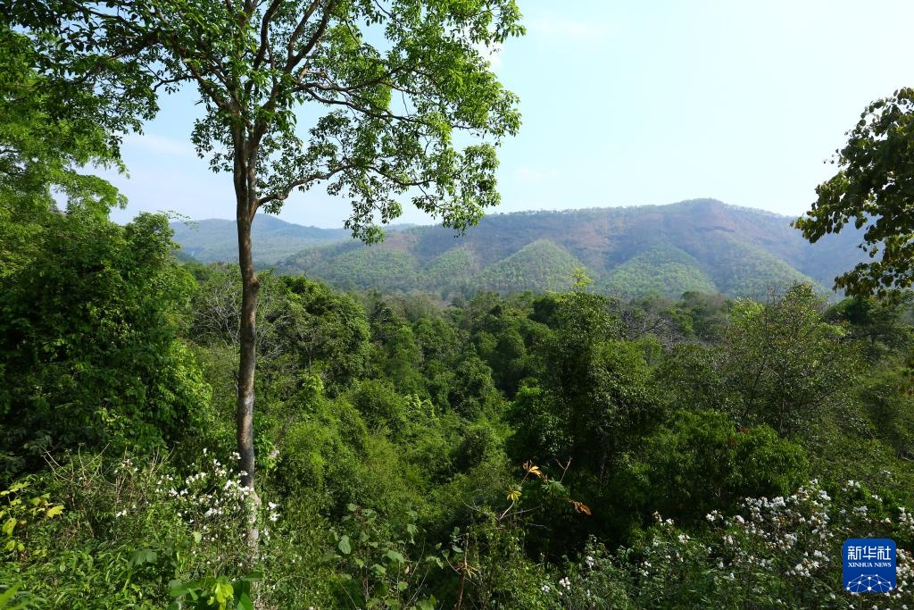 魅力亚太丨“国际森林日”——走进泰国爱侣湾国家公园