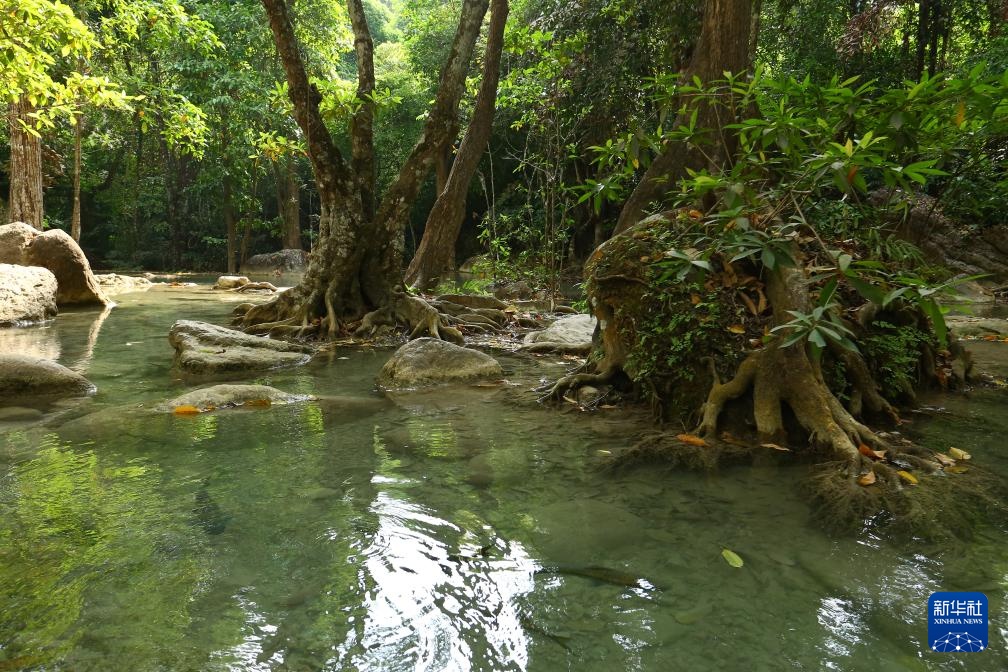 魅力亚太丨“国际森林日”——走进泰国爱侣湾国家公园