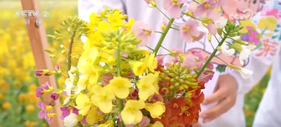 科技擦亮“花经济”金色名片 村民家门口吃上“美丽经济饭”