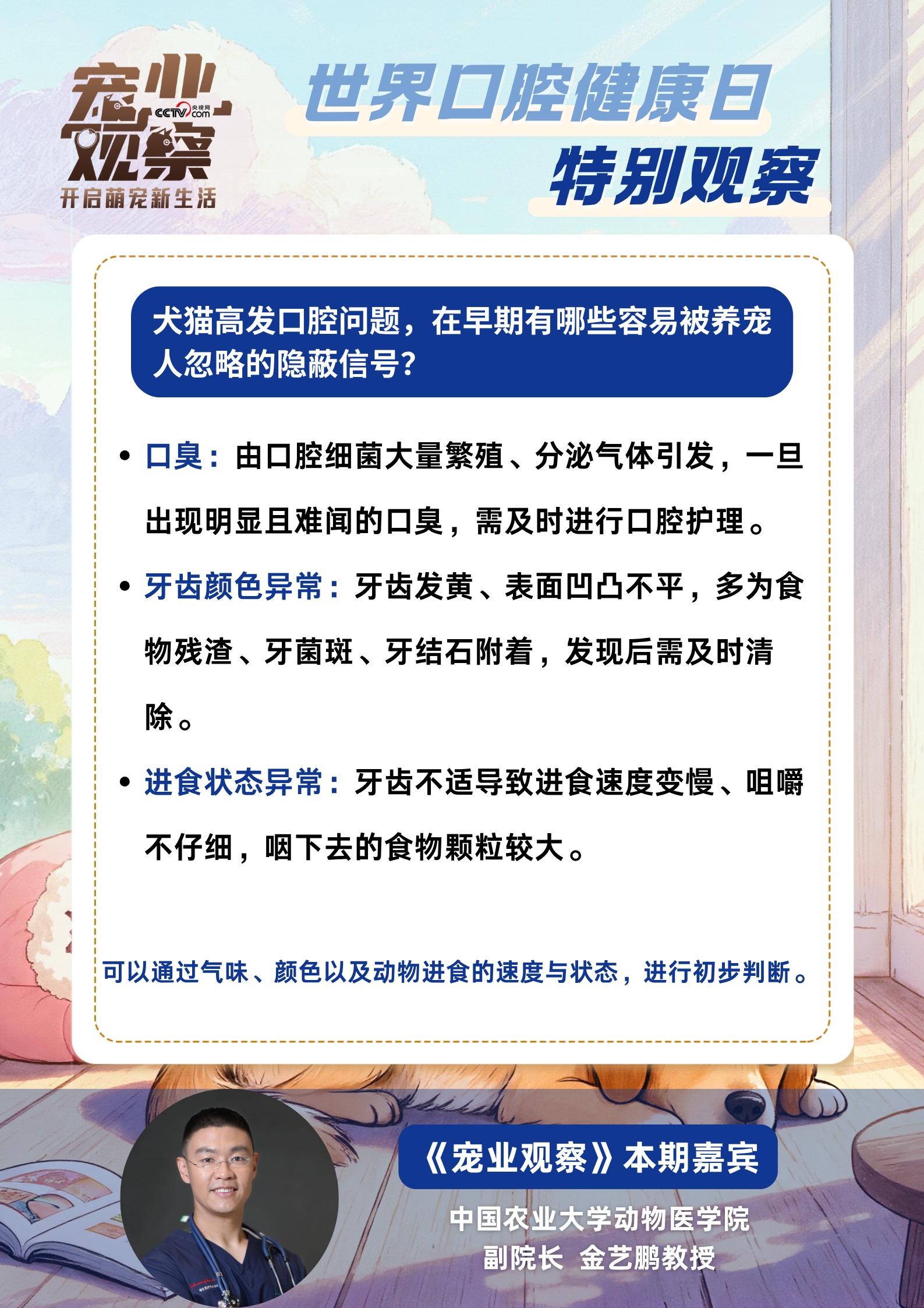 世界口腔健康日特别观察：如何科学守护毛孩子口腔健康？专家帮你划重点！