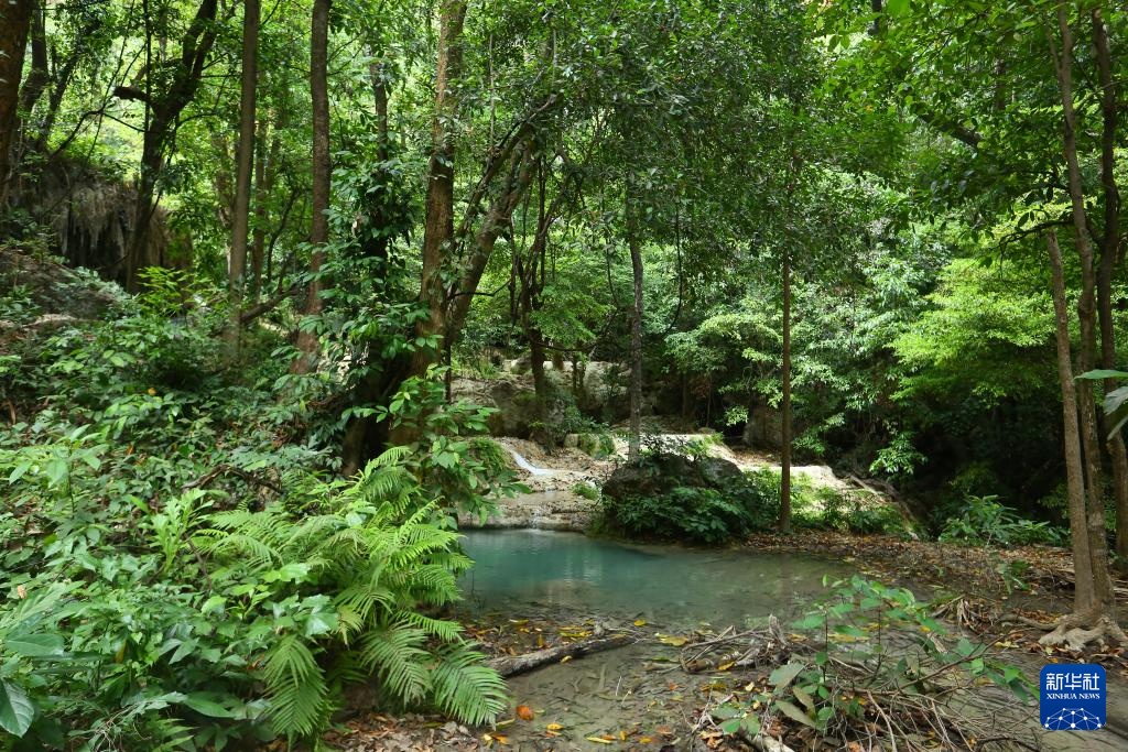魅力亚太丨“国际森林日”——走进泰国爱侣湾国家公园