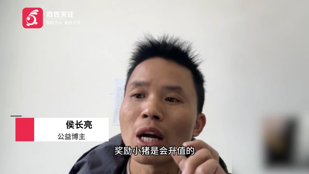 好好读书奖励小猪！收到学生感谢信后，他带着24头小猪回到贵州