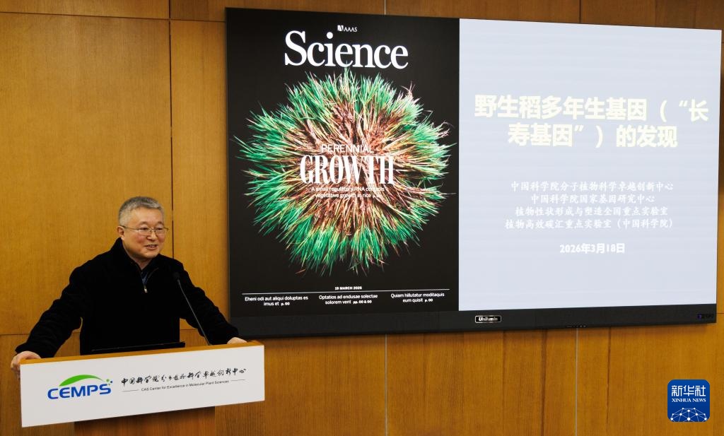 我国科学家发现野生稻“长寿基因”