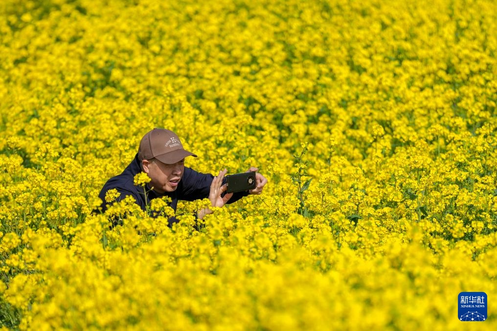 山西运城:花海春色 山西运城:花海春色