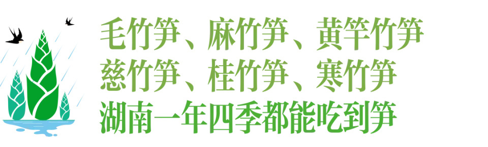 上春山｜春分，挖笋去！这份指南请收好