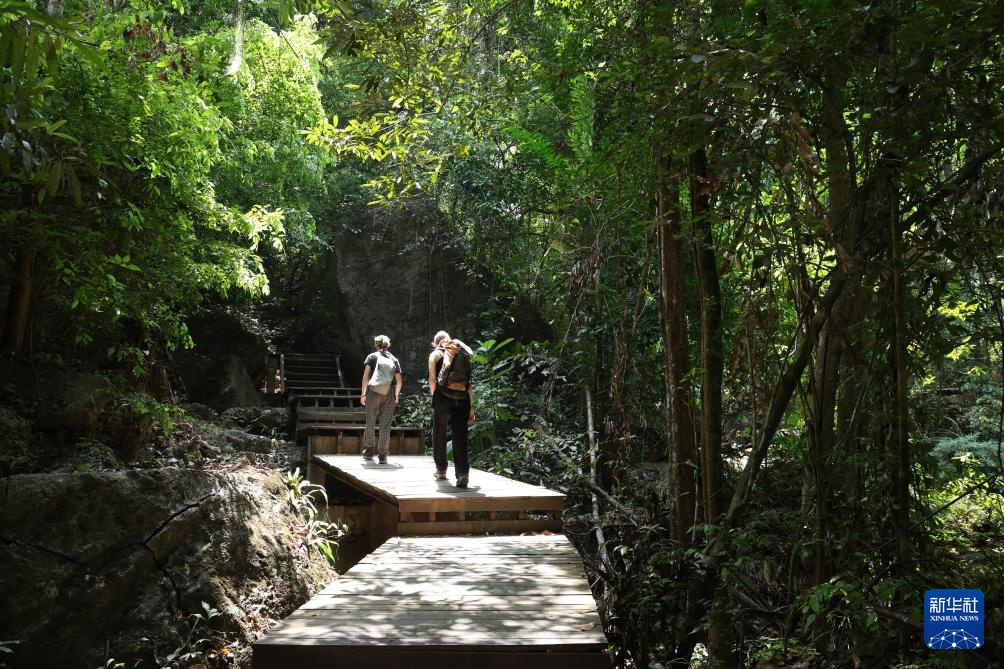 魅力亚太丨“国际森林日”——走进泰国爱侣湾国家公园