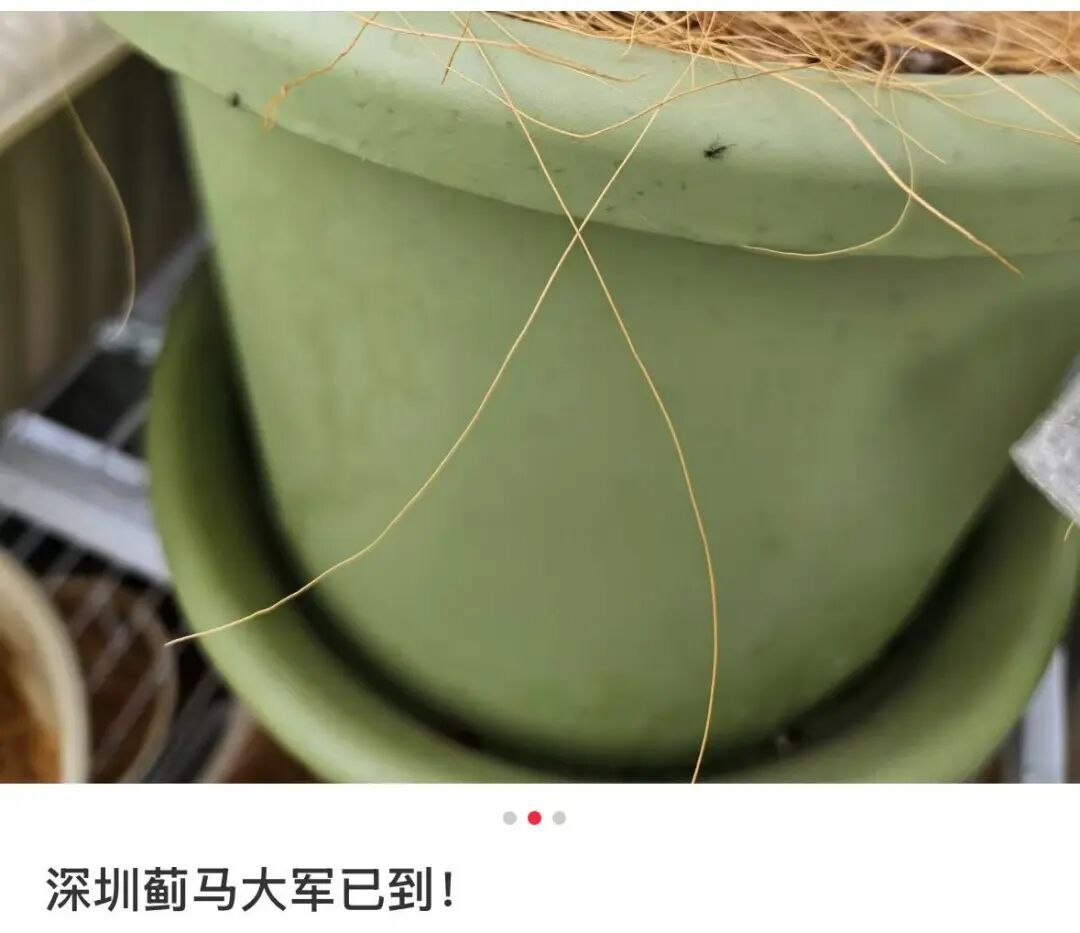 提醒！广东人最近少穿这种颜色衣服出门