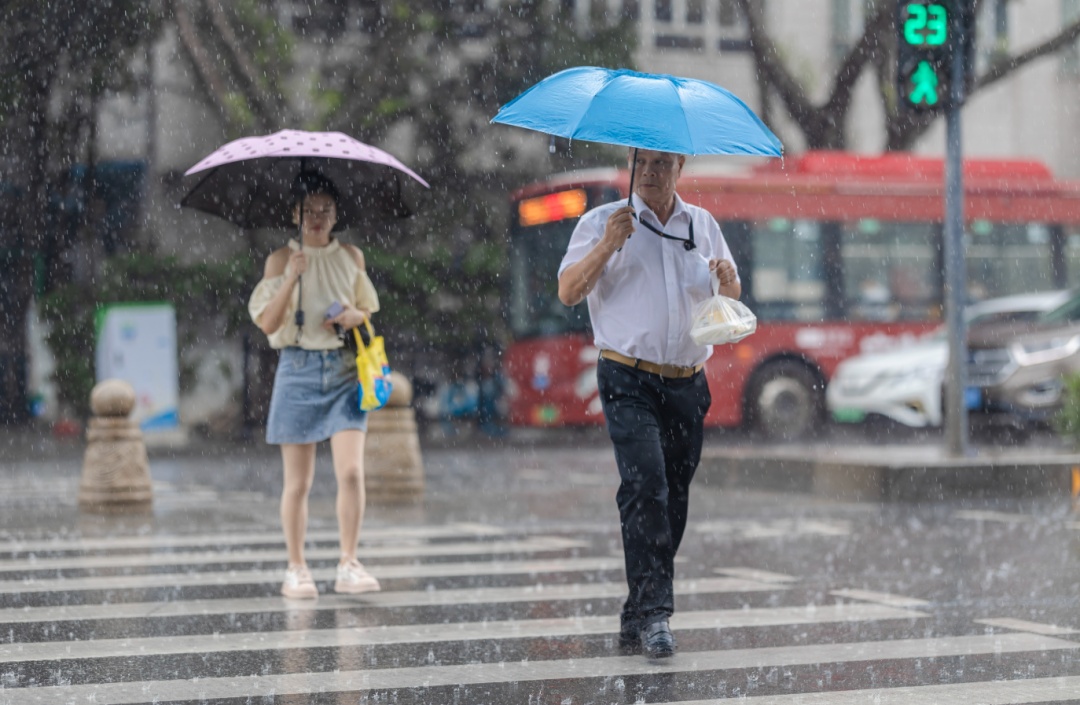广东有中雨大雨！未来广州或受3至4个台风影响