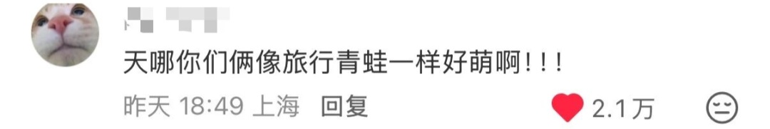 “看！我们从云南搬回了一片叶子！” 网友：你俩取经回来啦？