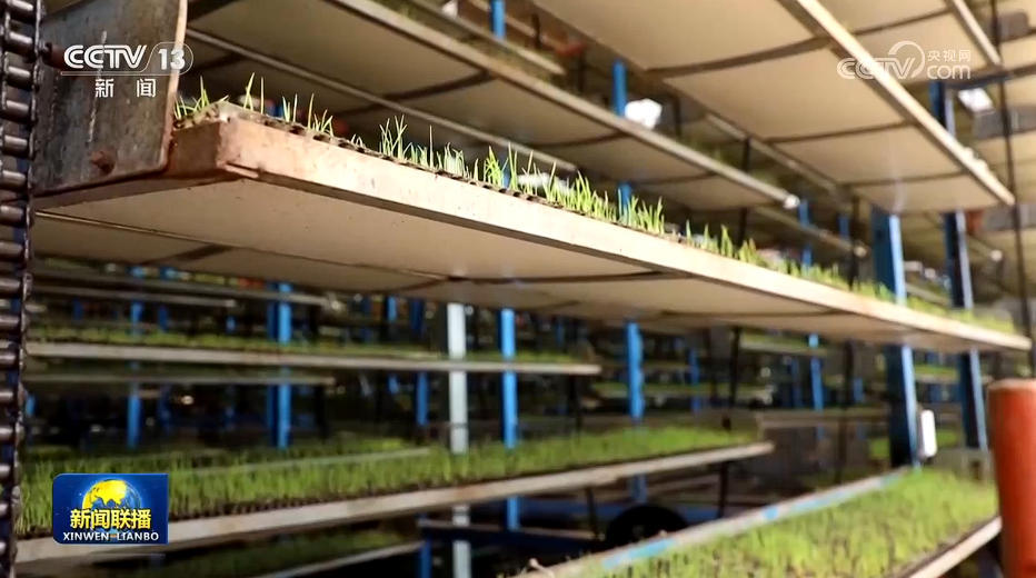 全国春耕备耕有序推进