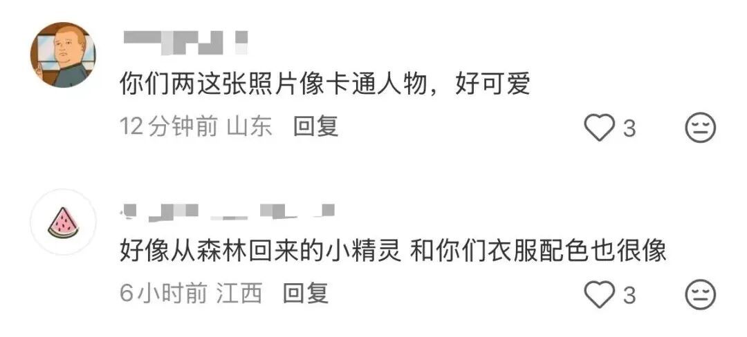 “看！我们从云南搬回了一片叶子！” 网友：你俩取经回来啦？
