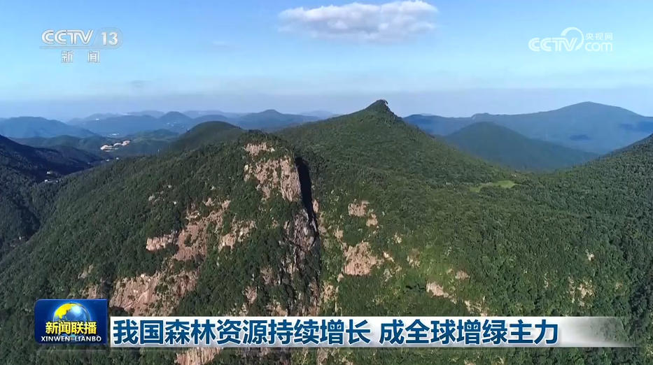 我国森林资源持续增长 成全球增绿主力