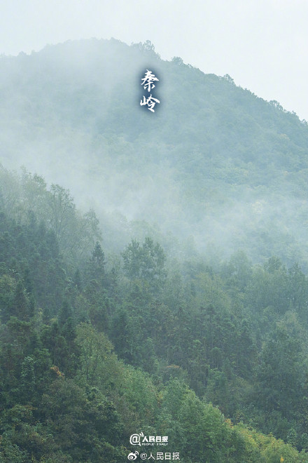 转存！氧气感十足的壁纸