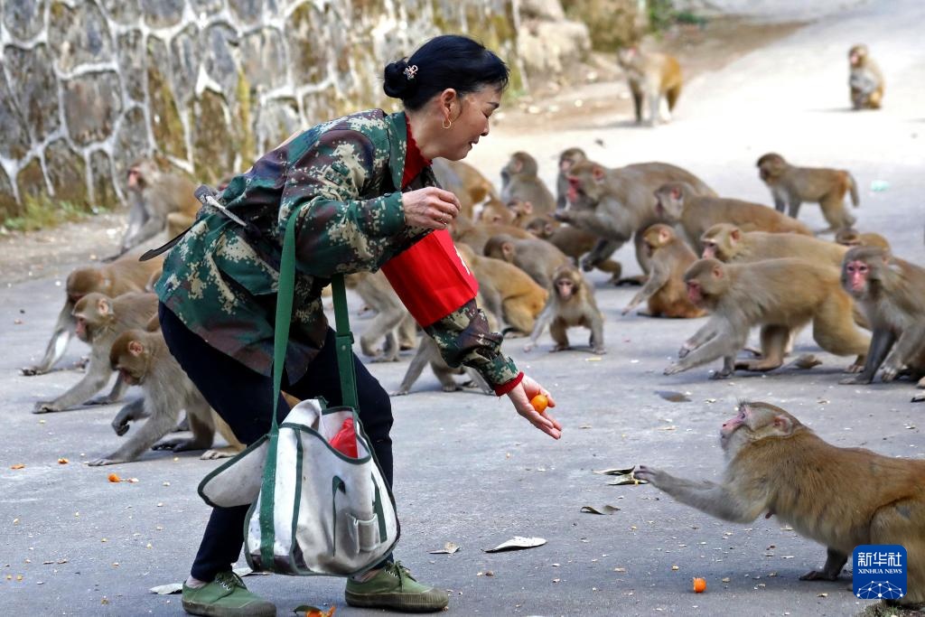 护林三十载 她视山林如家 护林三十载 她视山林如家