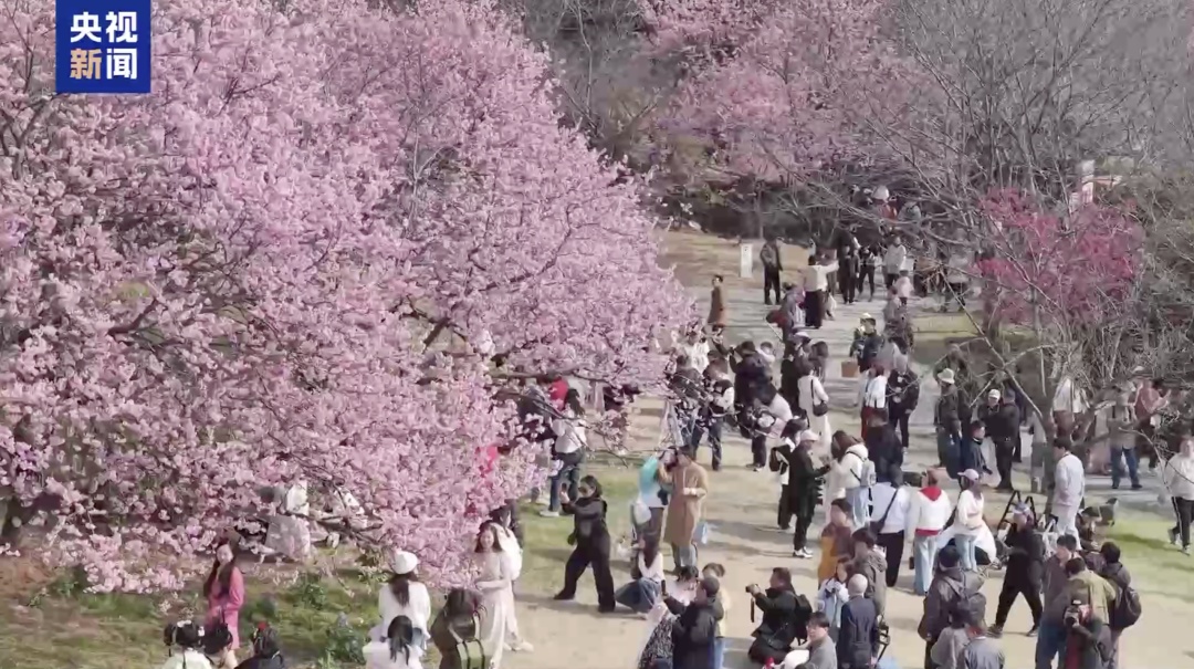这些景区,持火车票可享门票5折起优惠! 这些景区,持火车票可享门票5折起优惠!