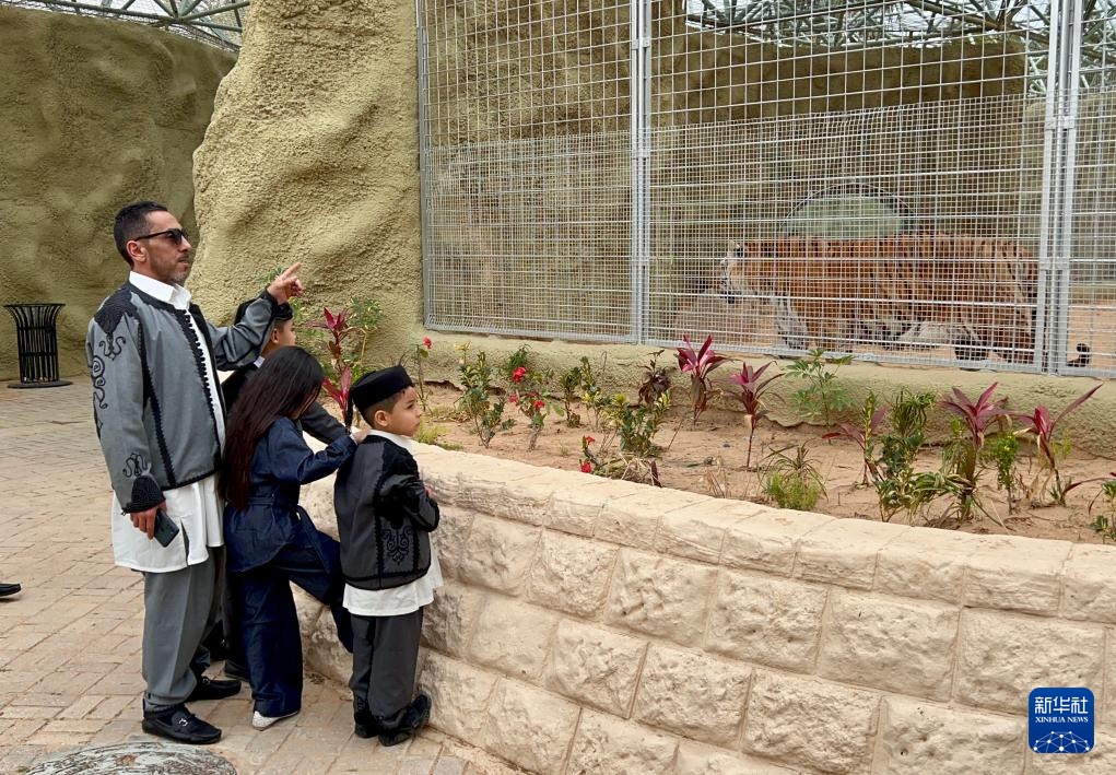 利比亚的黎波里动物园重新开放 利比亚的黎波里动物园重新开放