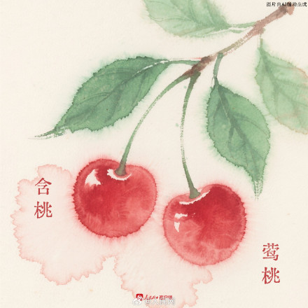 水果的那些古称也太有韵味了