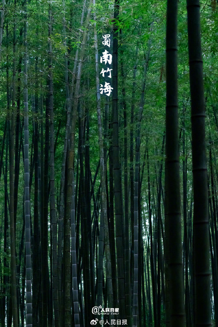转存！氧气感十足的壁纸