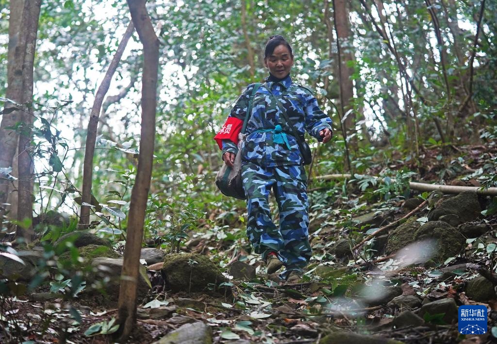 护林三十载 她视山林如家 护林三十载 她视山林如家