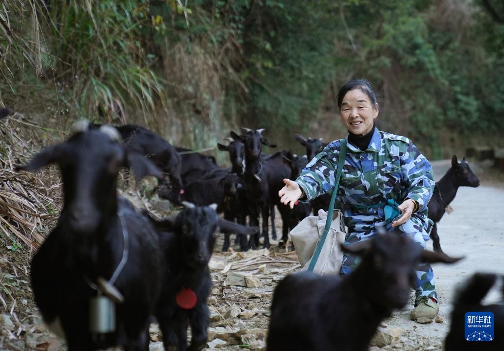 护林三十载 她视山林如家 护林三十载 她视山林如家