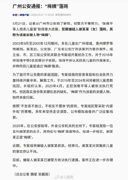 人贩子梅姨已被逮捕