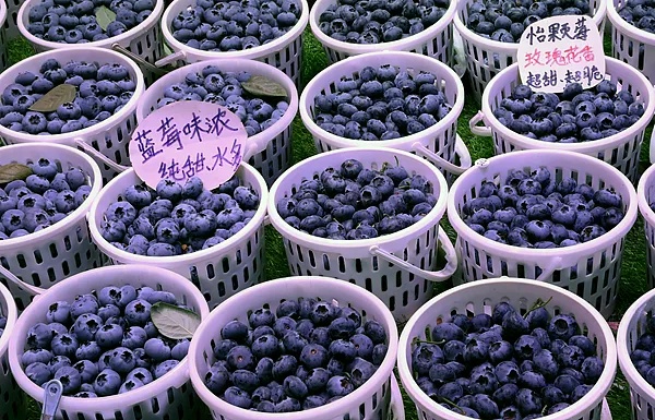 价格腰斩!以前小盒装,现在出现"按桶论斤"卖 价格腰斩!以前小盒装,现在出现"按桶论斤"卖