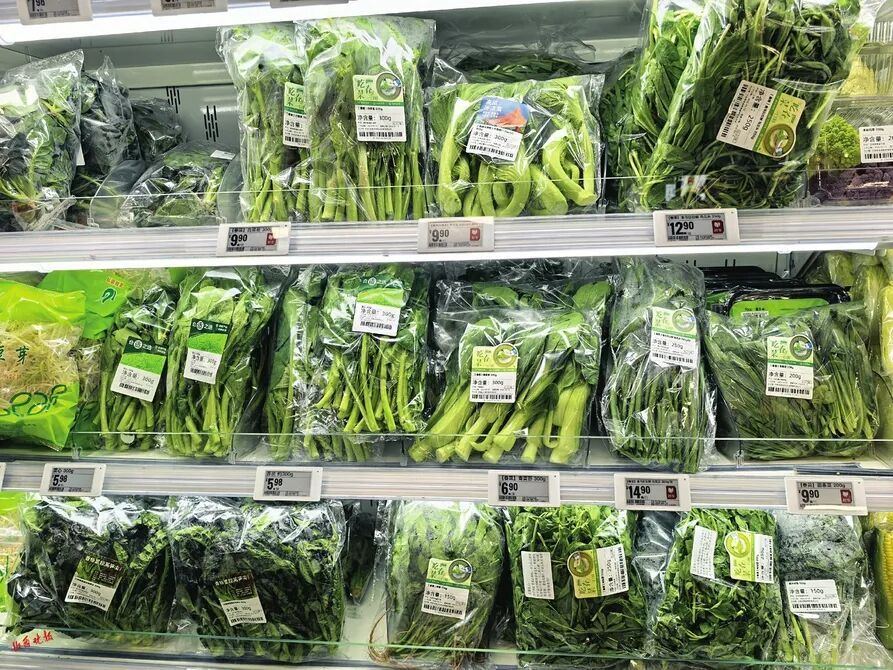 春菜正当“食”，舌尖上的春天来啦