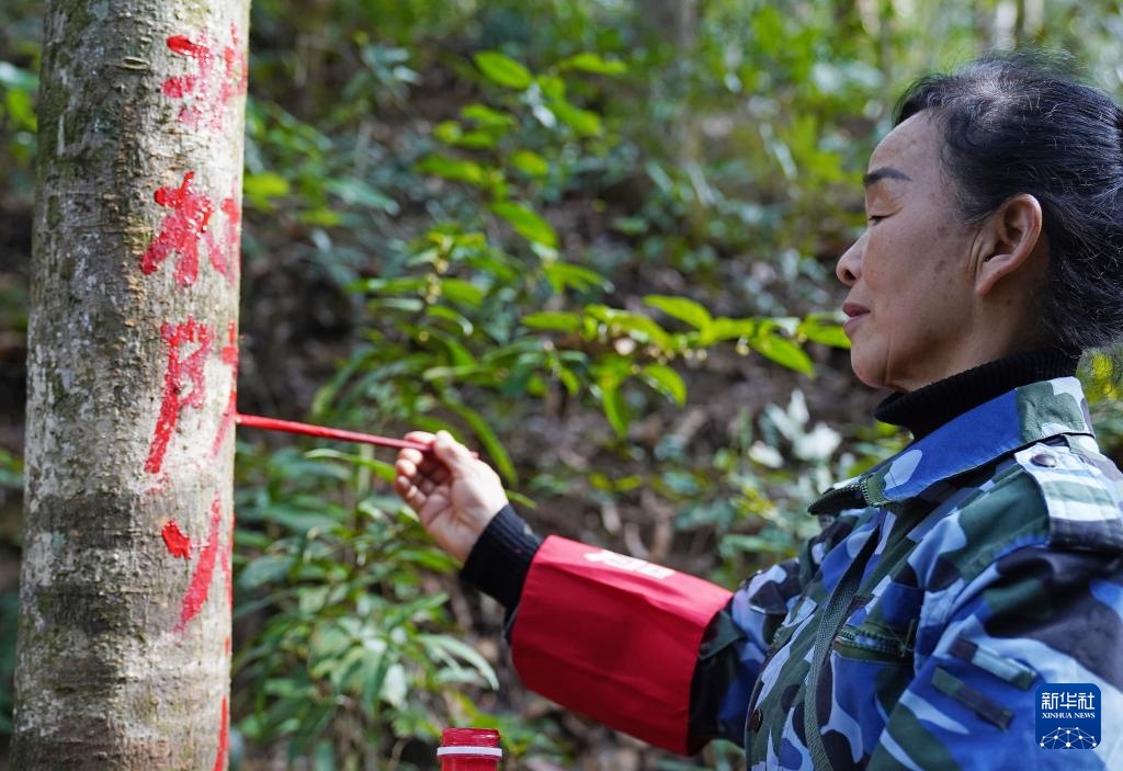 护林三十载 她视山林如家 护林三十载 她视山林如家