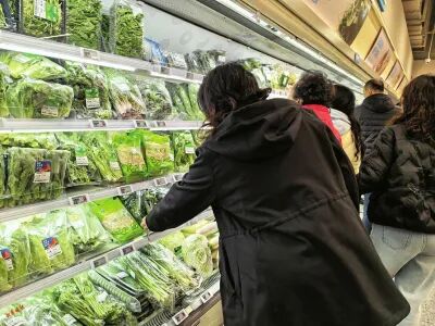 春菜正当“食”，舌尖上的春天来啦