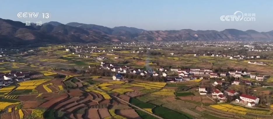 寻春景、游春色,一车畅达!赏花专线让“春日经济”热力十足 寻春景、游春色,一车畅达!赏花专线让“春日经济”热力十足
